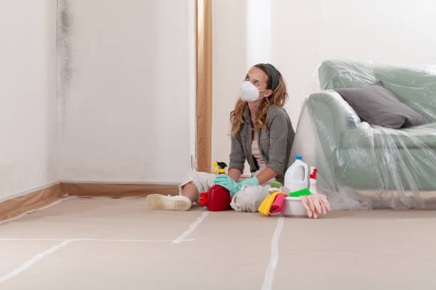 Reliable Mold Remediation contractor in Sparta, IL by WQB Mold Removal